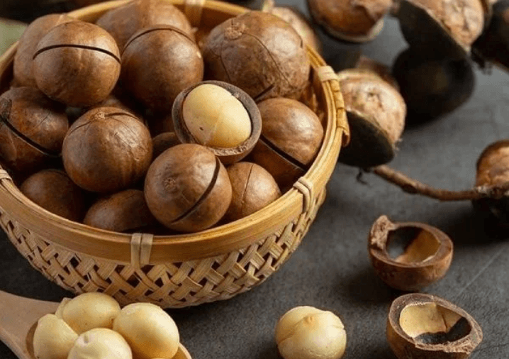 Tinh Hoa Đại Ngàn Tây Nguyên – Hạt Macca, Cacao, Hạt Điều và Hạt Tiêu Agrihighland