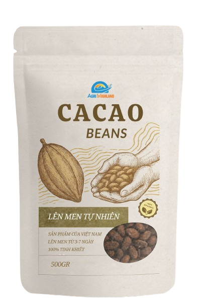 Fermented cocoa