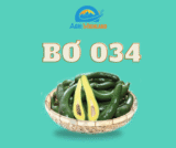 Avocado 034