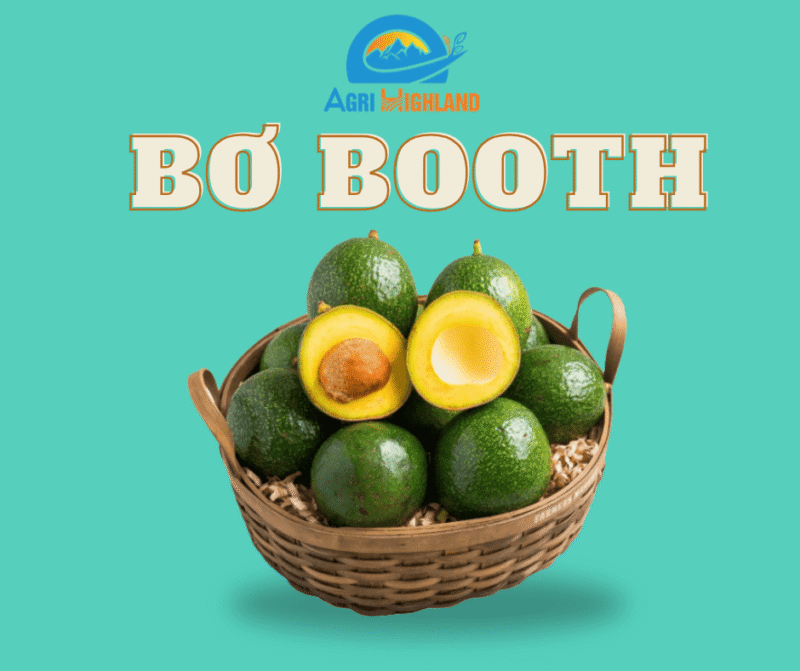 Avocado Booth
