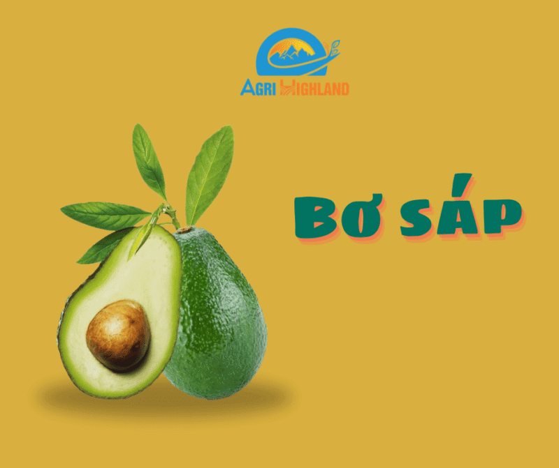 Waxy avocado